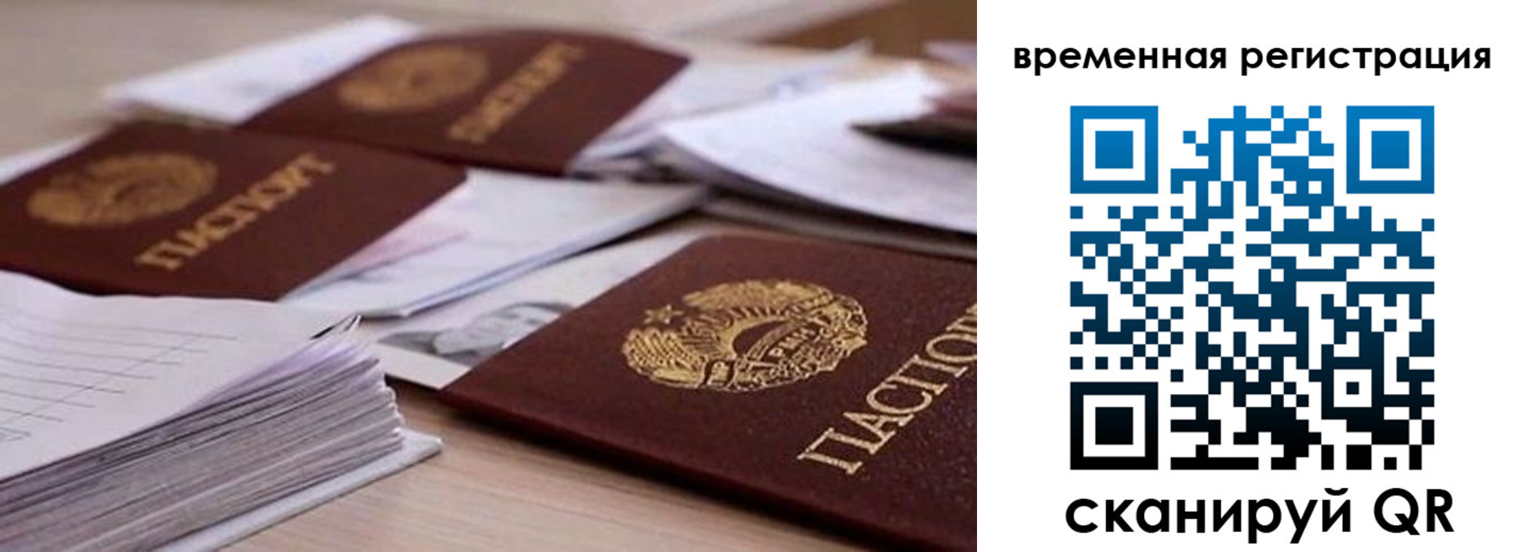 временная регистрация поиск в Сафоново